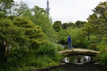 都心のオアシス「日本庭園」を訪ねてみよう