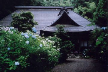 あじさい寺の 琵琶の音響け  箱根山