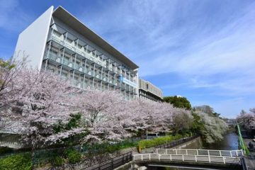 第13回 成城、もうひとつの‶ロケ地スポット〟桜並木
