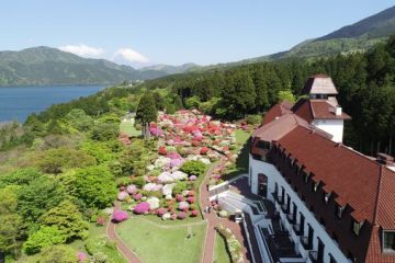 箱根・山のホテルのツツジが「日本植物園協会ナショナルコレクション」に認定