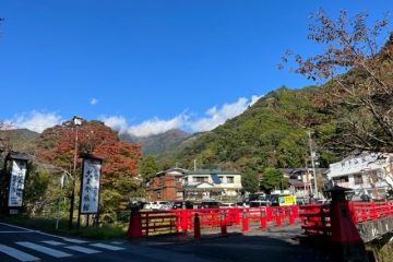 紅葉の見ごろの今、大山詣りの歴史や文化に触れる〈大山旧参道フェア〉が開催される
