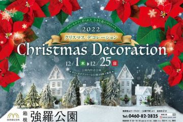 ３年ぶりのクリスマスデコレーション！〈箱根強羅公園〉で優雅なひとときを。