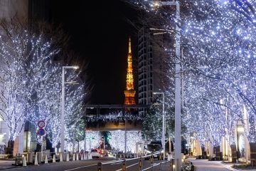 開業20年の〈六本木ヒルズ〉で迎えたいクリスマスの夜、『Roppongi Hills Christmas 2023』情報