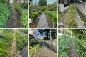 第36回【キジュを超えて】行き止まりはない─萩原 朔美の日々　　　