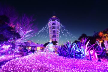 【お出かけ情報】江の島・片瀬海岸一帯が光の舞台になる関東三大イルミネーションの一つ「湘南の宝石」に出かけるにはお得で便利な方法がある