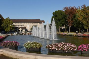【秋のお出かけ情報】大人の美術館巡り②（上野公園界隈）