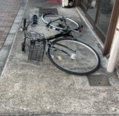 第69回【萩原朔美 スマホ散歩】風の日の記憶